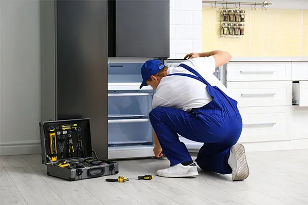 Fridge Seals–Seal Tite - Cover photo