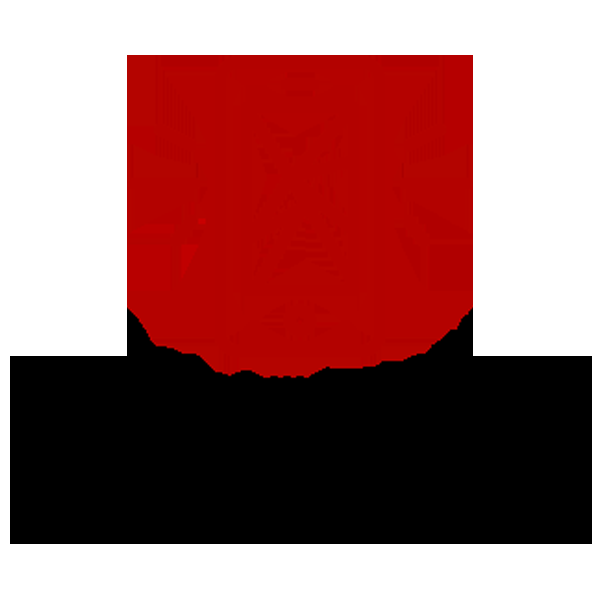 Froggy Touch Service - Logo