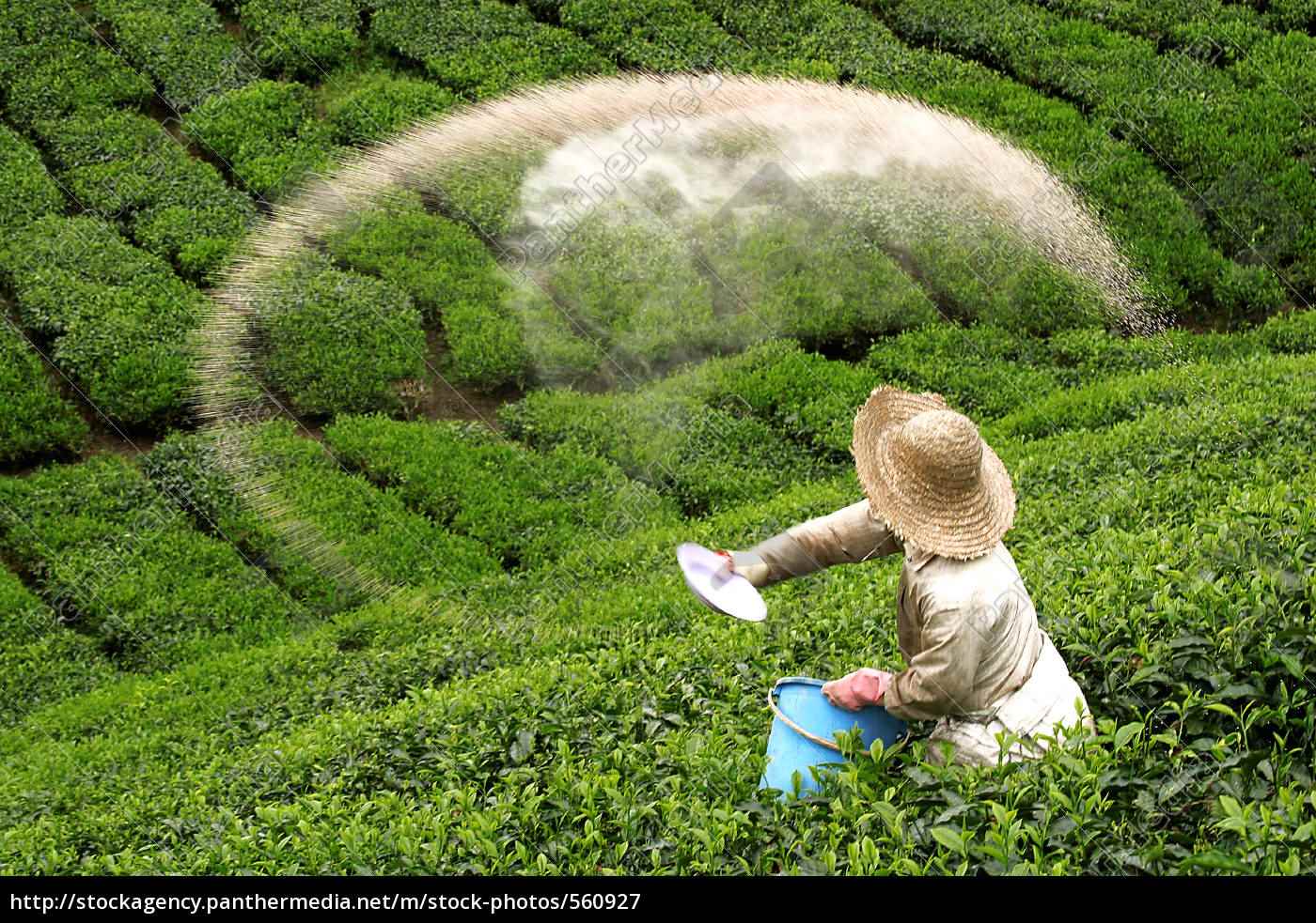 Frontier Agro Fertilizer Agency - Cover photo