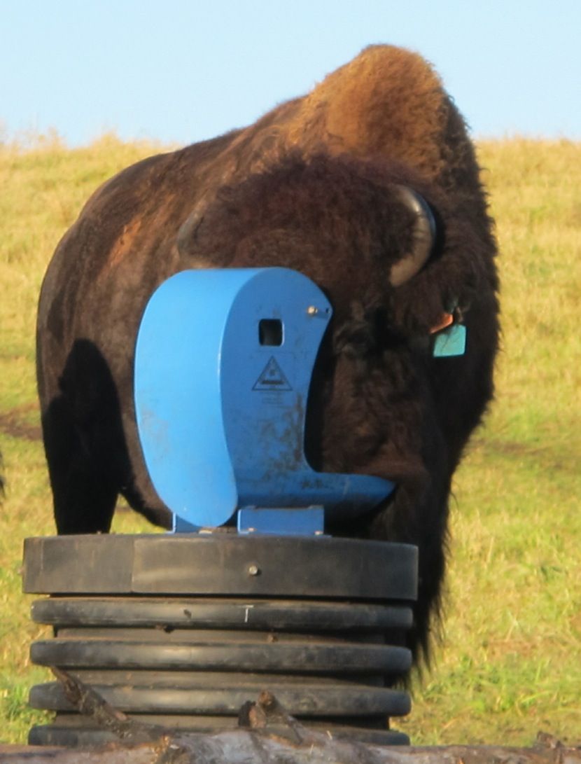 Frostfree Nosepumps Ltd. - Cover photo