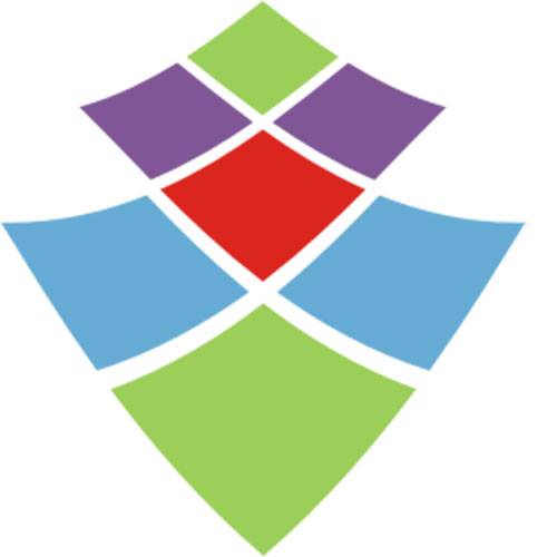 FSL Software Technologies Ltd. - Logo