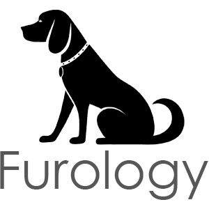 Furology - Cover photo