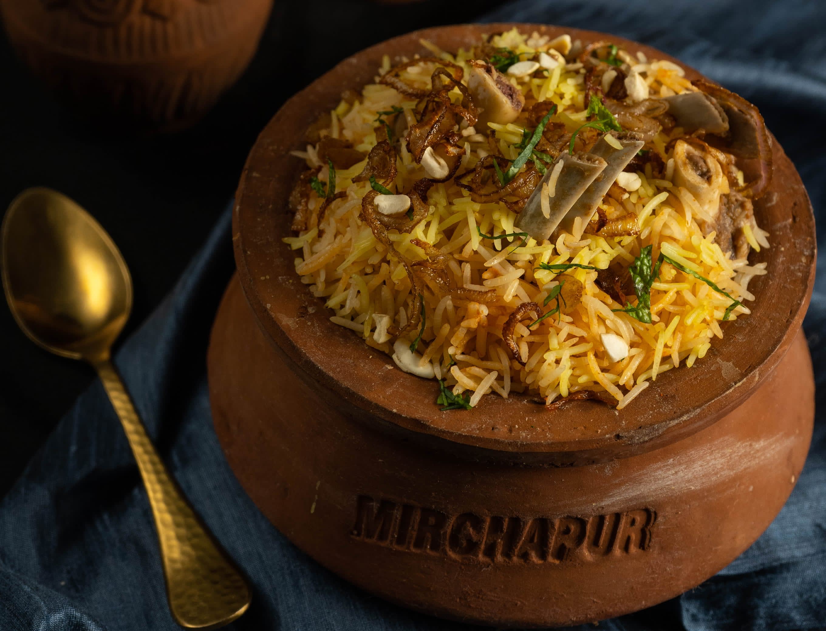 Fusion Biryani - Logo