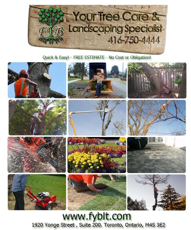 FYB Inc. (Landscaping &a; Tree Removal) - Cover photo