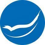 Fynan Gavin Dr - Logo