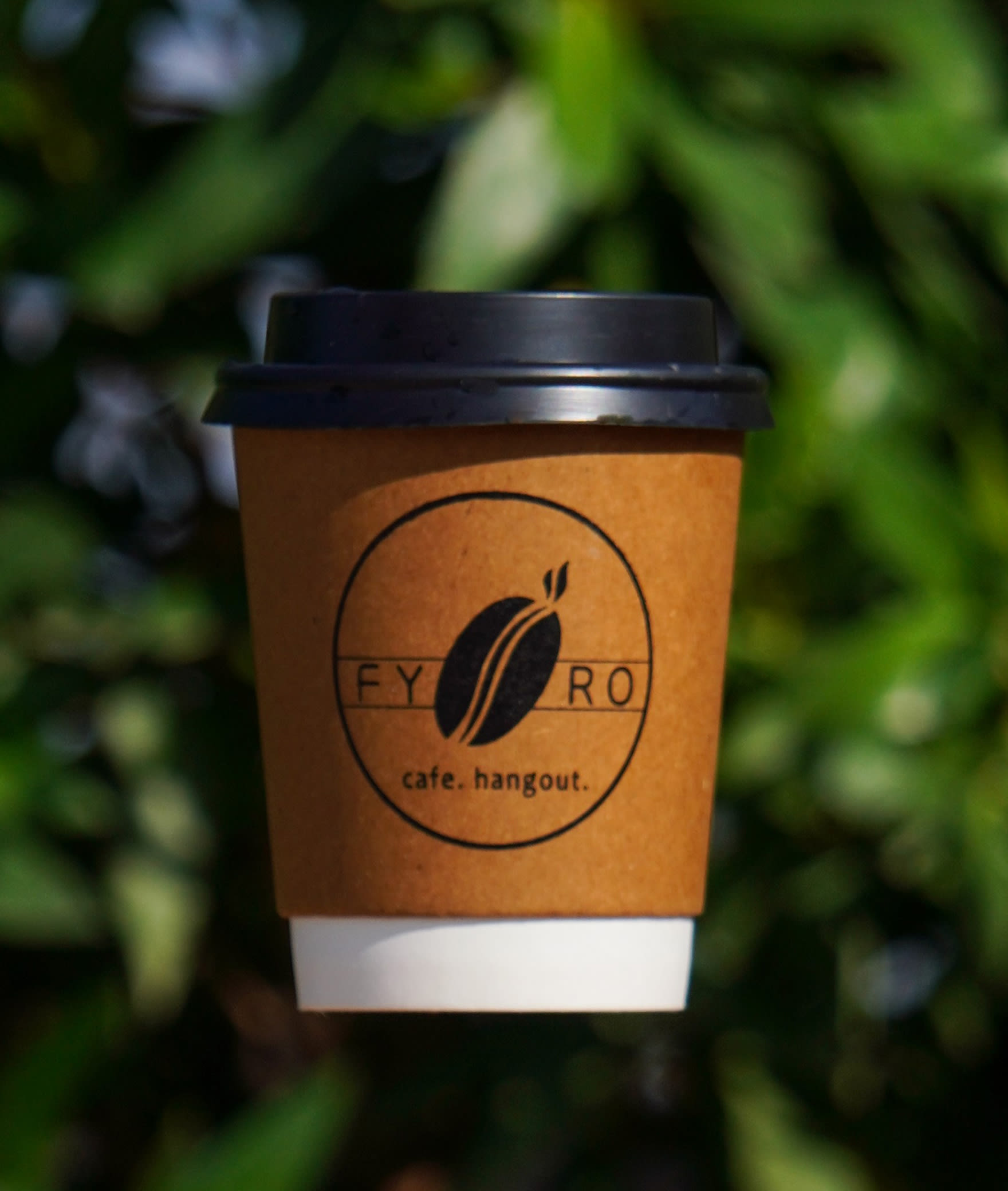 Fyro - Logo