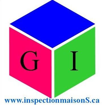 Gabriel Inspection - Logo