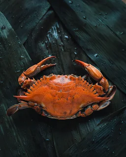 Gajalee Sea Food Restaurant - Logo