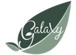 Galaxy Nails &a; Spa - Logo