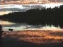 Gallan&s;s Miramichi River Tubing - Cover photo