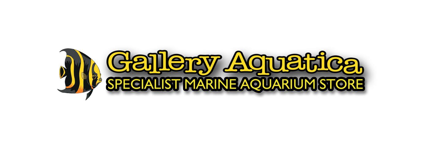 Gallery Aquatica - Logo