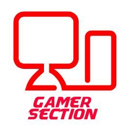 Gamer Section - Logo