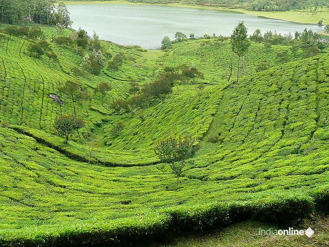 Ganesha Tours And Travels - Cover photo