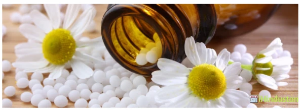 Ganesh Homeopathic Clinic (Dr.PS sood) - Logo