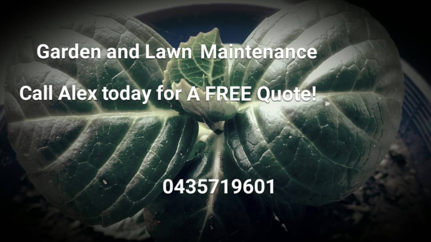 Garden & Lawn Maintenance - Cover photo