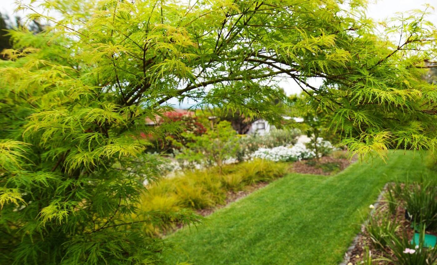 GardenSpace - Cover photo