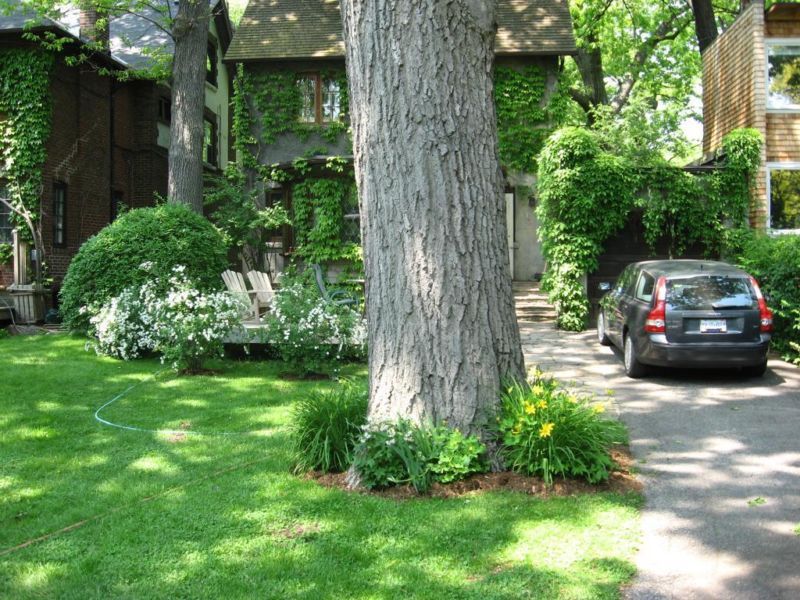 Gardenzilla Gardening Services - Cover photo