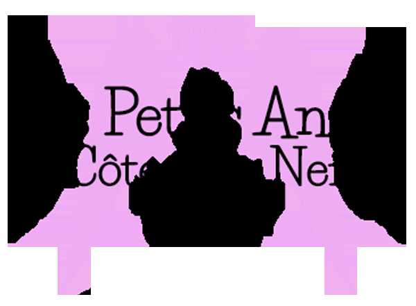 Garderie les Petits Anges de Côtes des Neiges - Logo