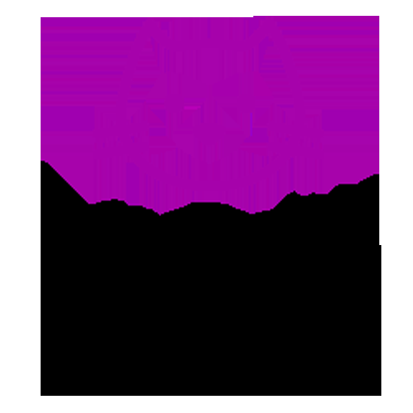 Garderie Les Petits Félins - Logo