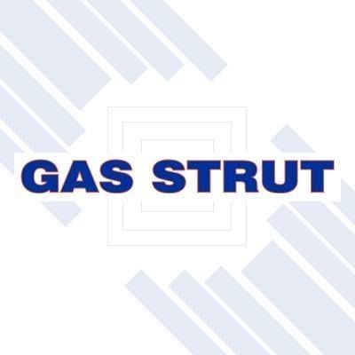 Gas Strut Repairs Gold Coast - Logo