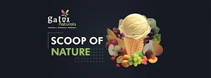 Gatox Natural Ice Cream - Logo
