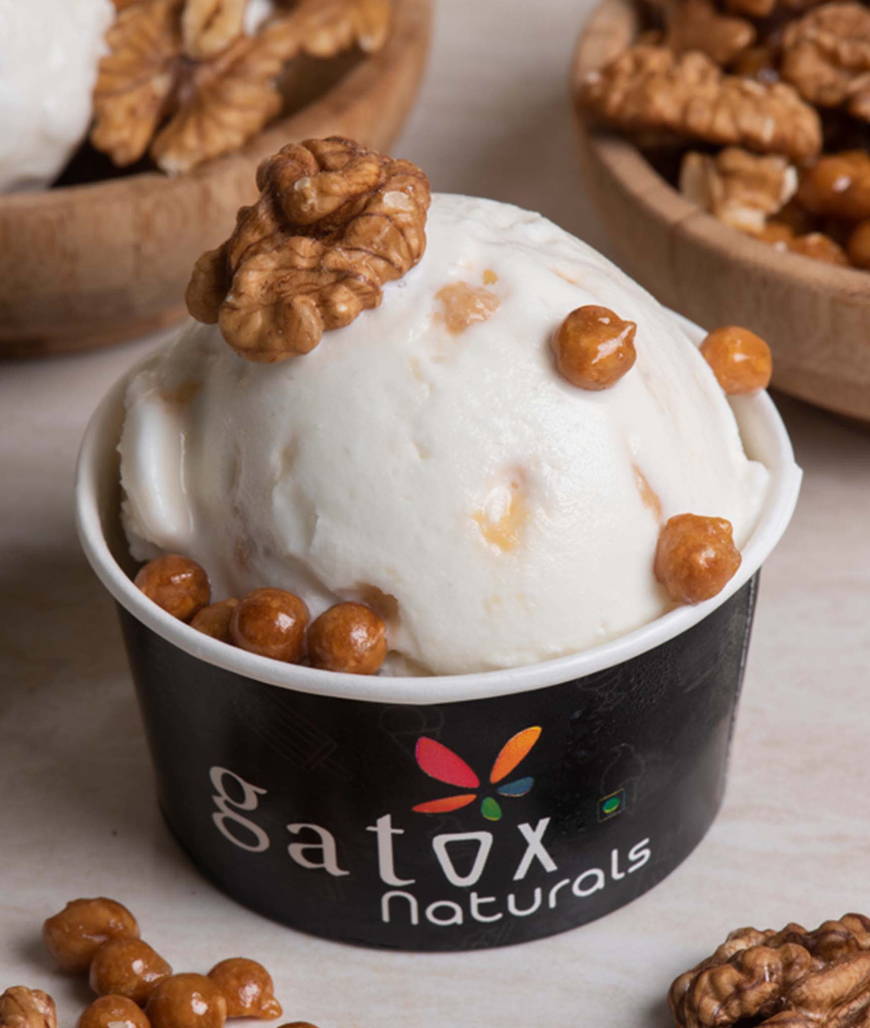 Gatox Natural Ice Cream - Logo