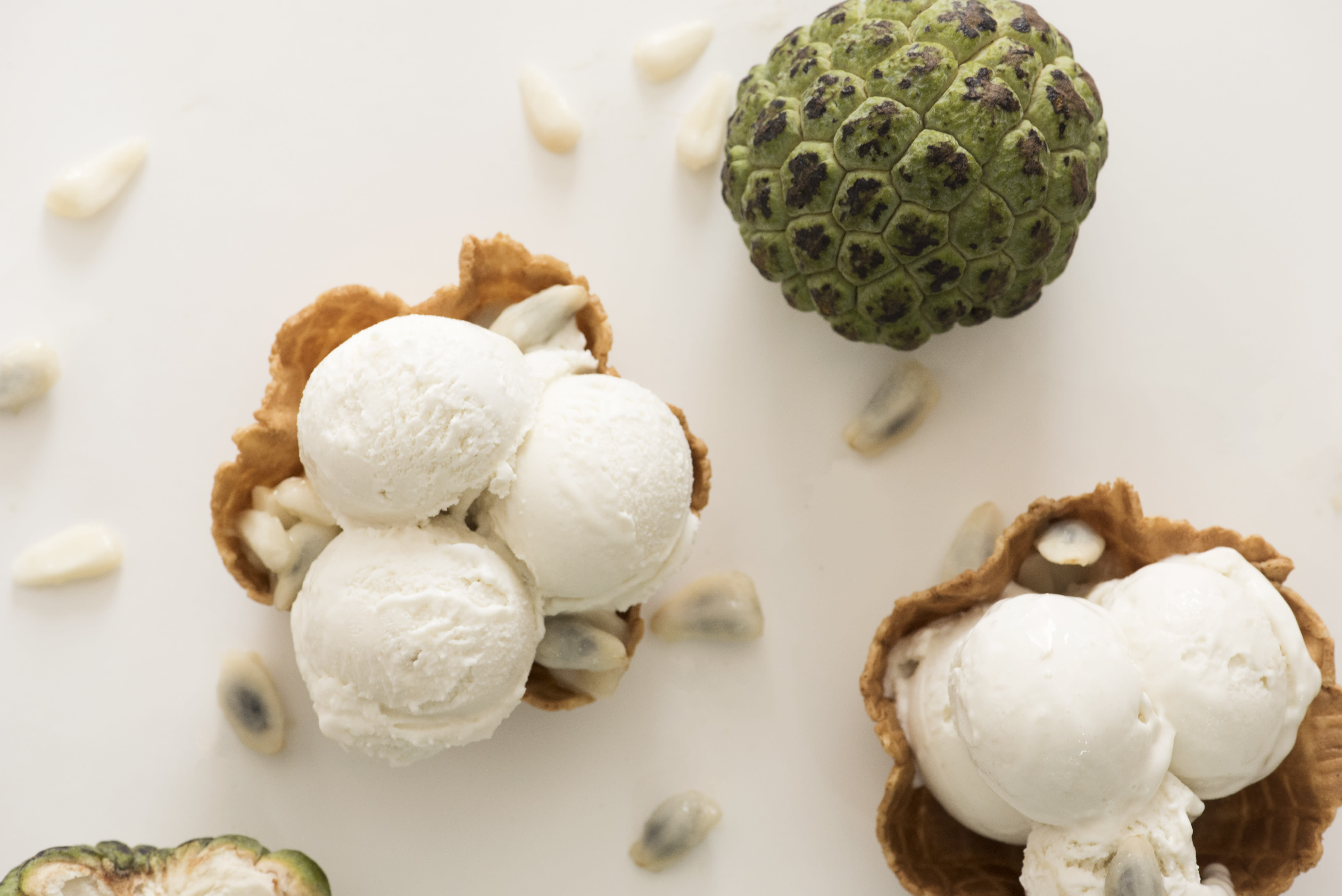 Gatox Natural Ice Cream - Logo