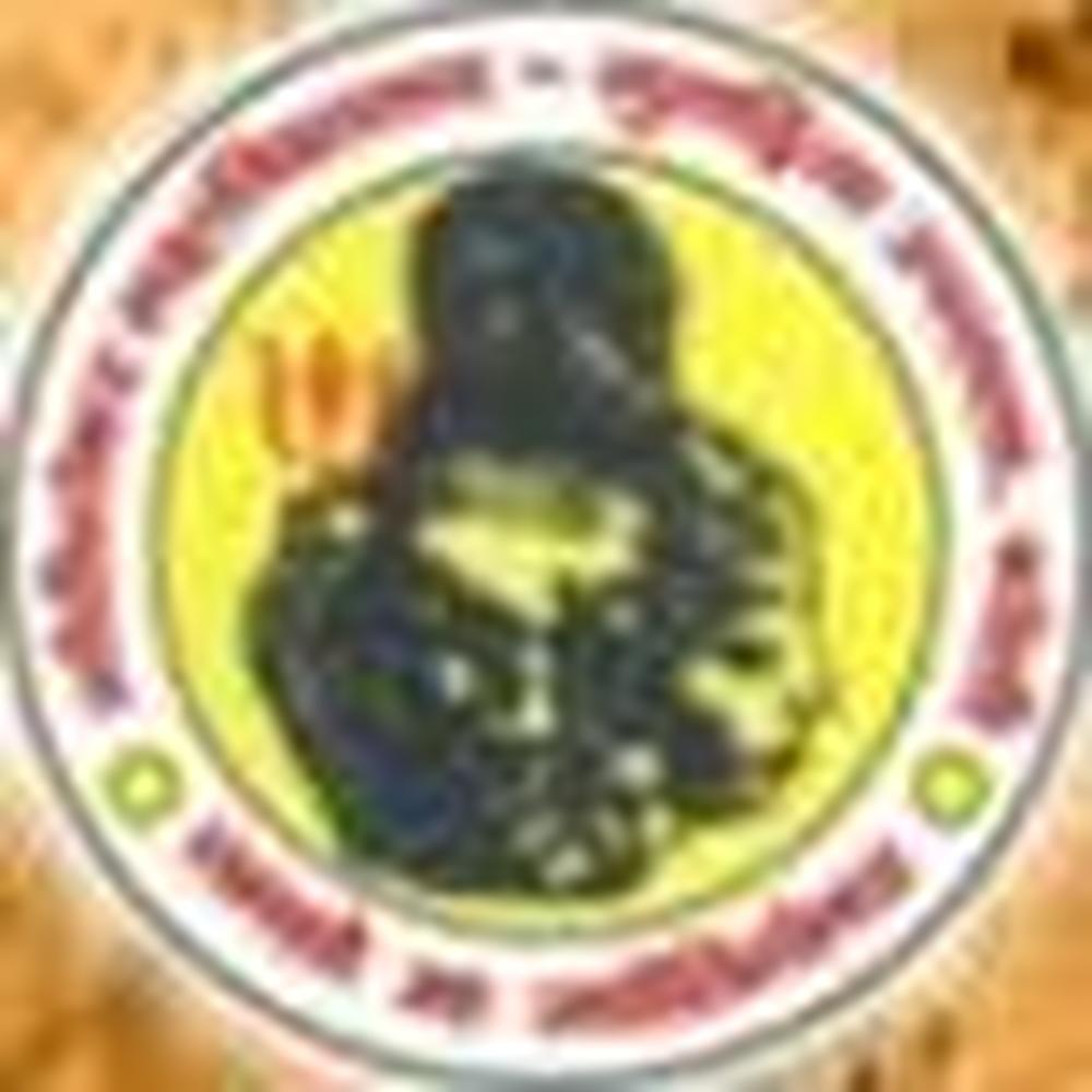 Gauri Shankar Mahavidhyalaya (GSMV) - Logo