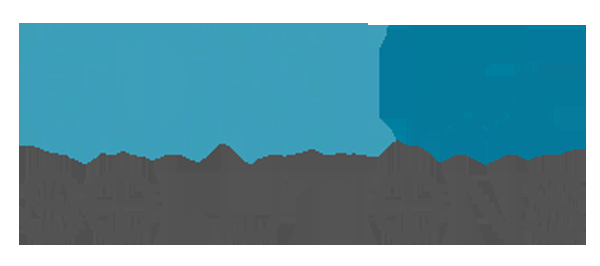 GDSI Solutions - Logo