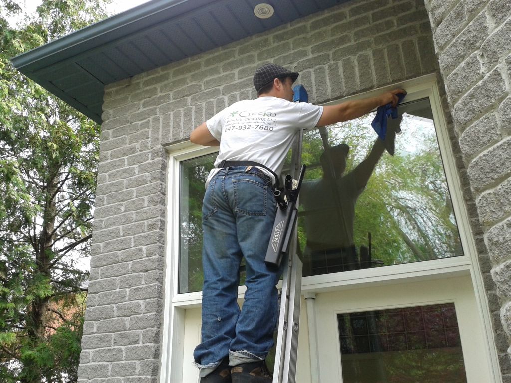 Gecko Window Cleaning Ltd. - Logo
