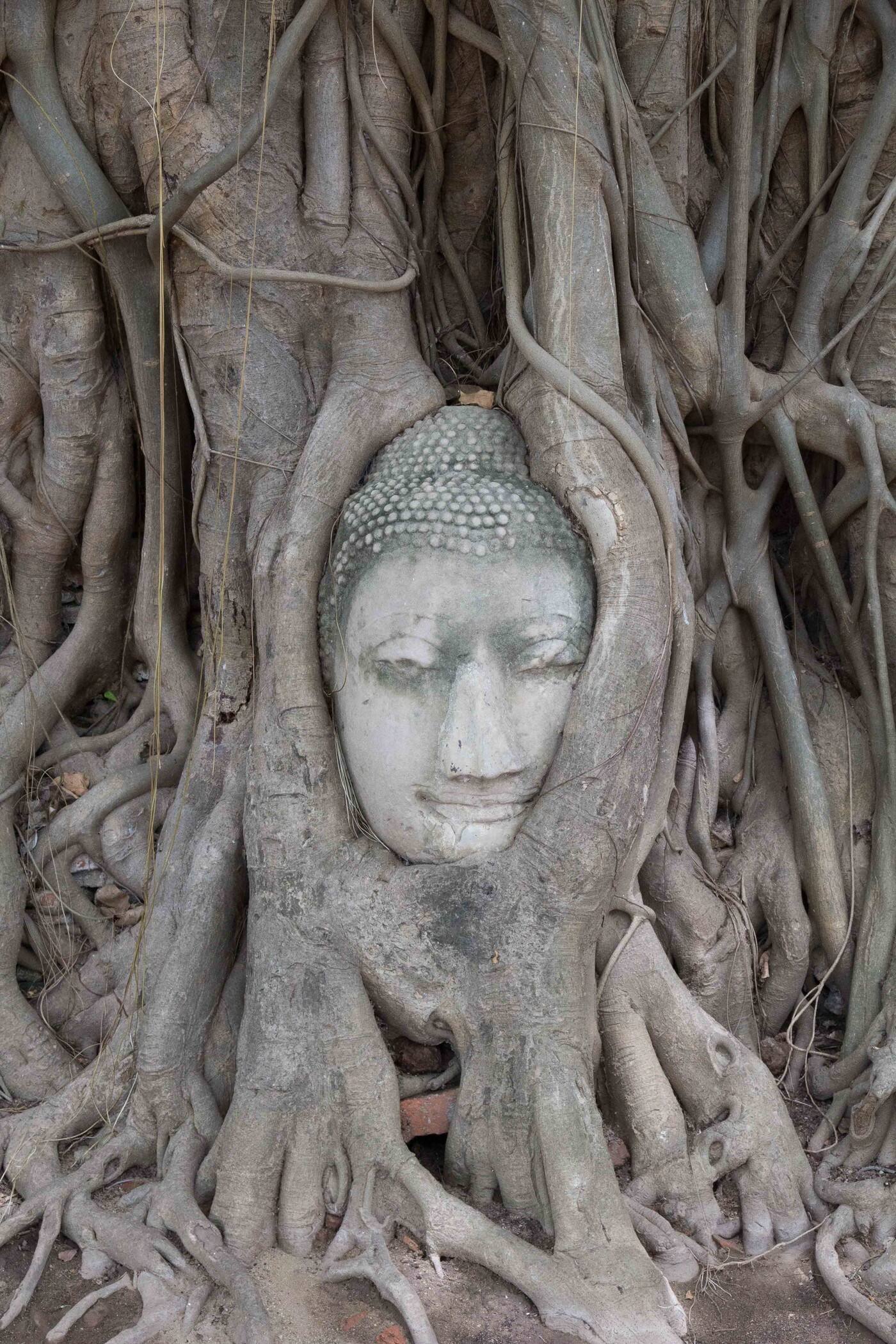 Genuine Thai Massage &amp; Beauty - Cover photo