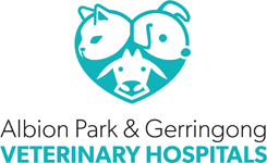 Gerringong Veterinary Hospital - Logo