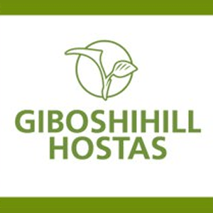 Giboshihill Hostas - Logo