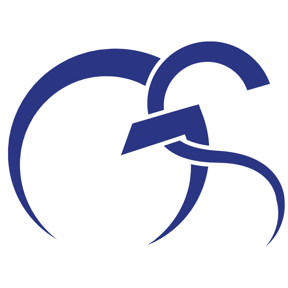 GILL Solutions Management - Logo