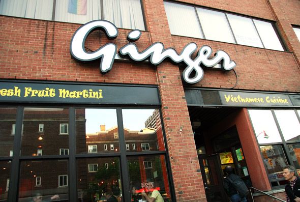 Ginger - Logo