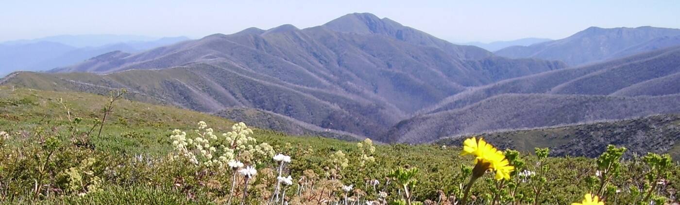 Gippsland High Country Tours - Logo