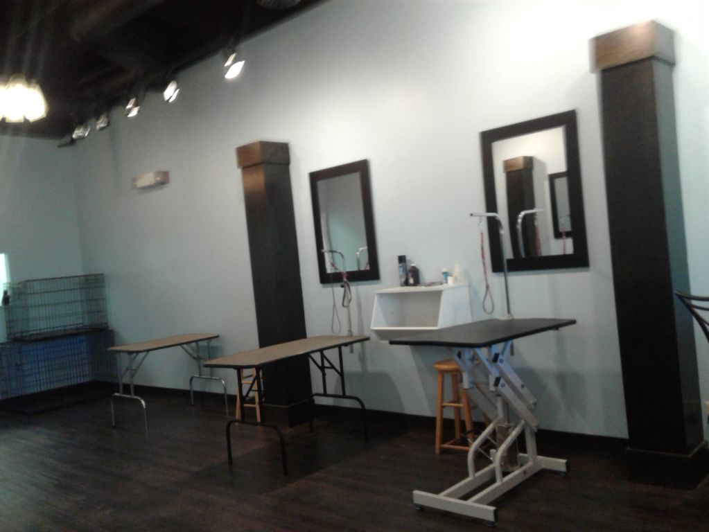 Glamour paws grooming academy - Logo