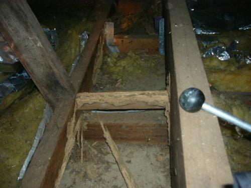 Glasshouse Country Pest Control - Cover photo