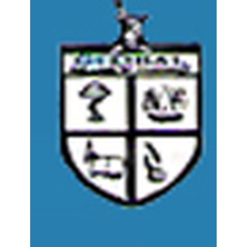 Global Group Of Institutes - Logo