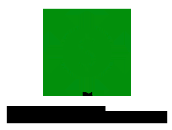 Global Maxome - Logo
