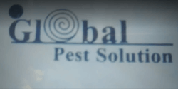 Global Pest Solution - Logo