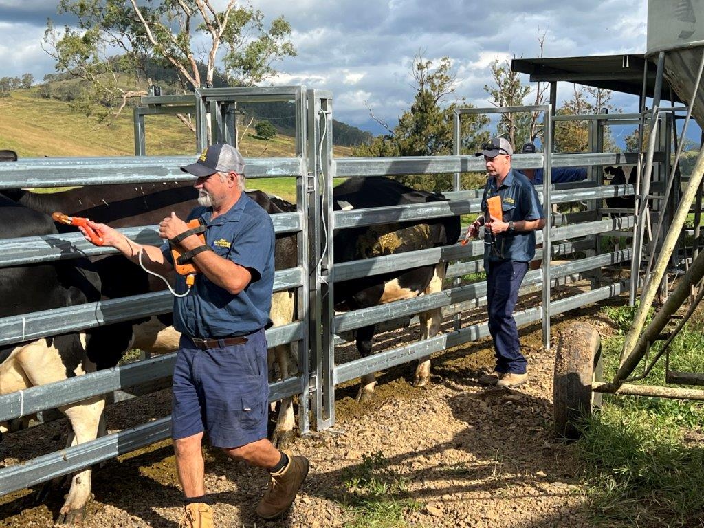 Gloucester Rural Supplies - Cover photo