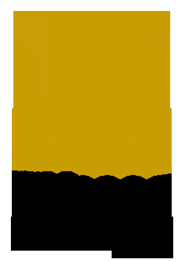 GN2000 Printing - Logo