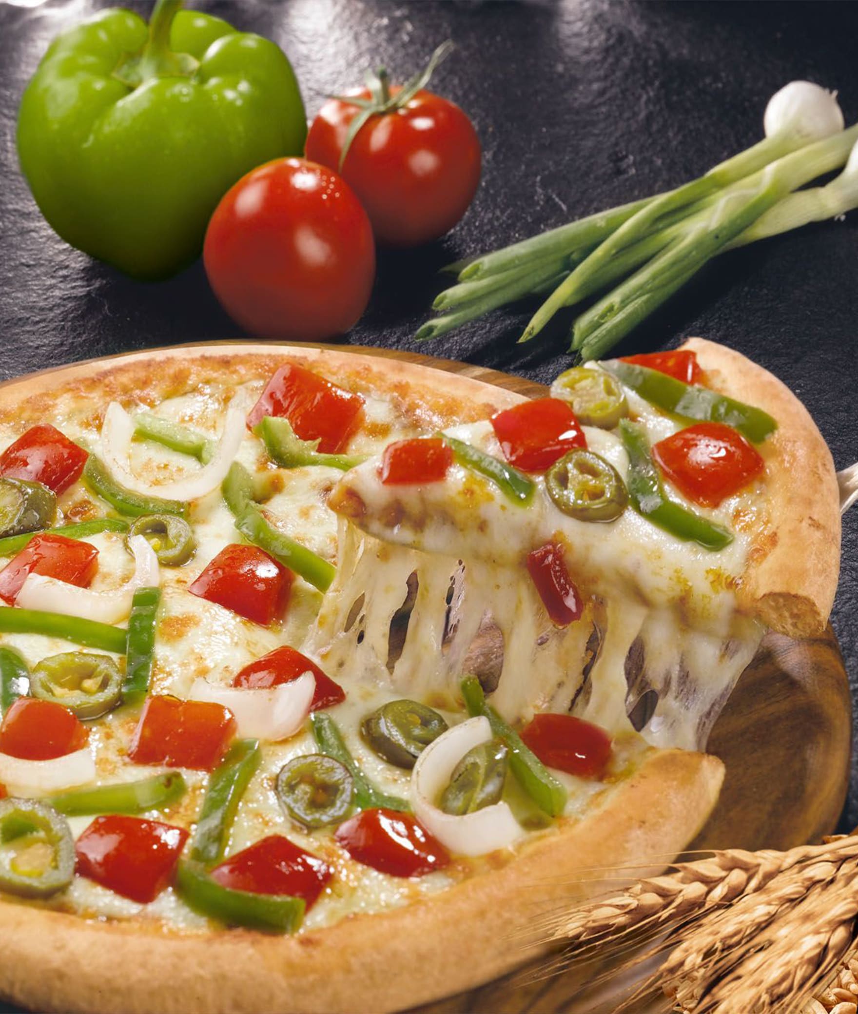 Go 69 Pizza - Logo