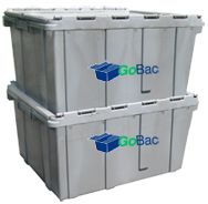 GoBAC Inc - Logo