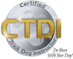 Go Dog Go! Positively Fun Dog Training - Cover photo