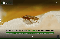 Godrej Pest Control Services In Delhi & Gurgaon, pest control near me - Logo