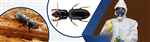 Godrej Pest Control Service - Logo