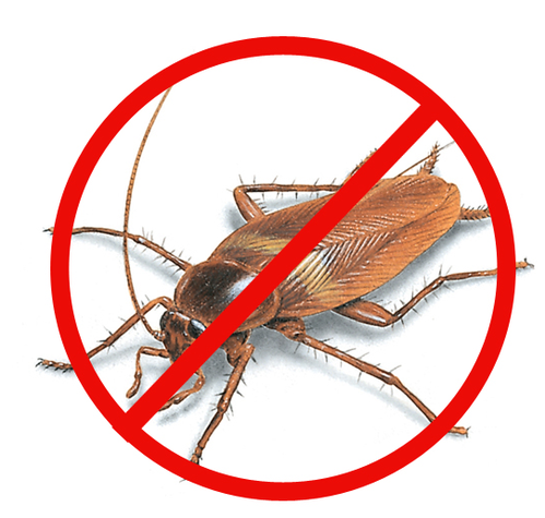 Godrej Pest Control Service - Cover photo