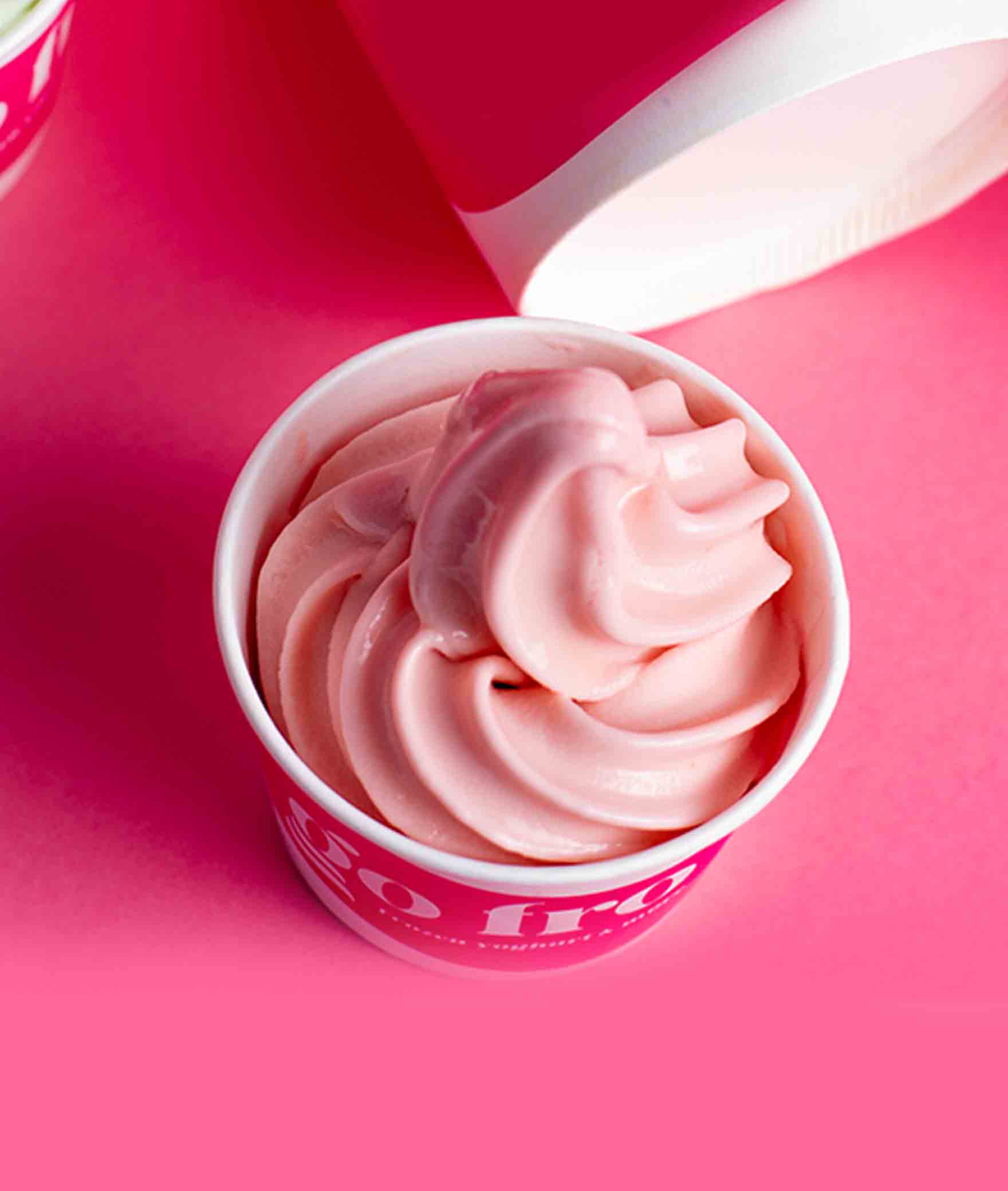 Go Fro Frozen Yogurt & More - Logo